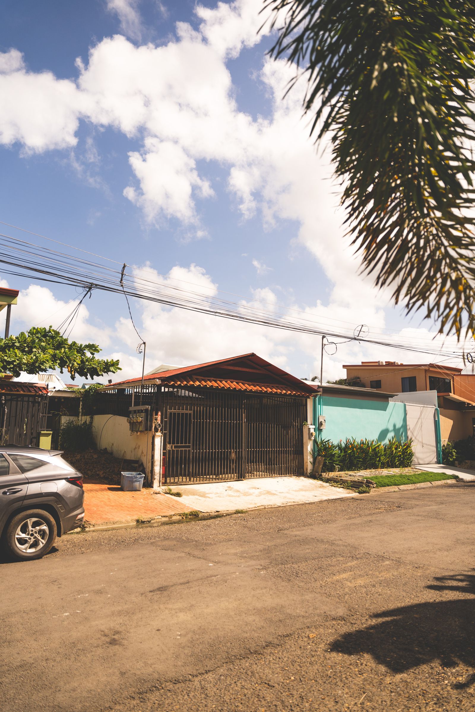 A quiet suburban street on a sunny day: a single-storey house set behind a tall black steel palisade driveway gate and matching fence, a grey SUV parked on the brick driveway apron, a turquoise-walled house next door and palm fronds overhanging the top right.